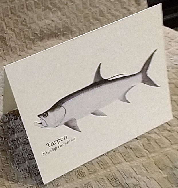 Grand Slam | Fish Note Card Set