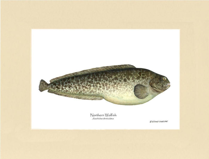 9x12 / Cream / No Frame
