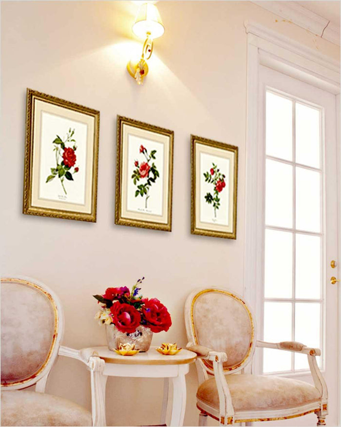 Rose Wall Art Print: Red Rose Wall Art Print Set - Vintage Botanical Wall Decor- Charting Nature