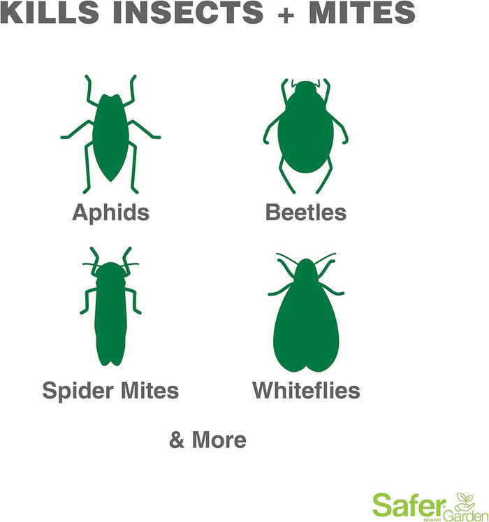 Safer 3-in-1 garden spray graphic showing green icons of garden pests like aphids, beetles, mites, and whiteflies.
