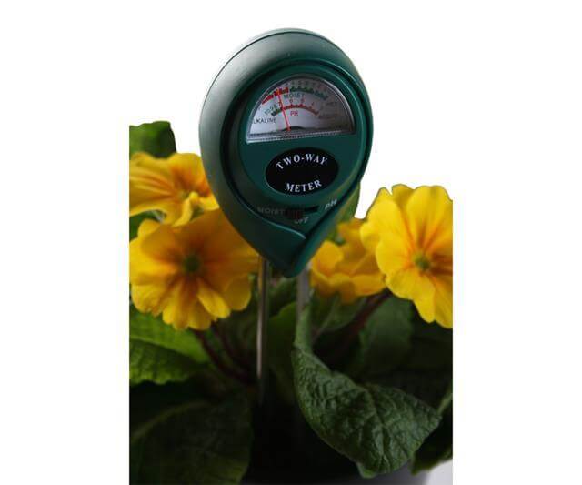 Green two-way moisture and pH meter inserted into soil next to vibrant yellow flowers in a plant pot.