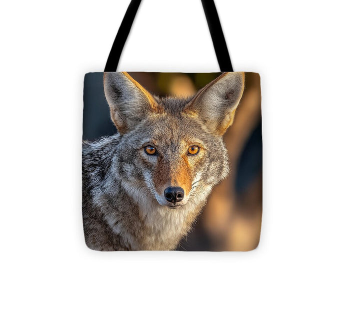 Alert Coyote Staring Forward - Tote Bag