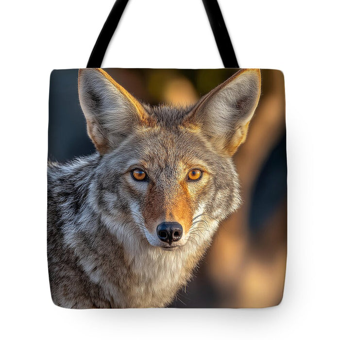 Alert Coyote Staring Forward - Tote Bag