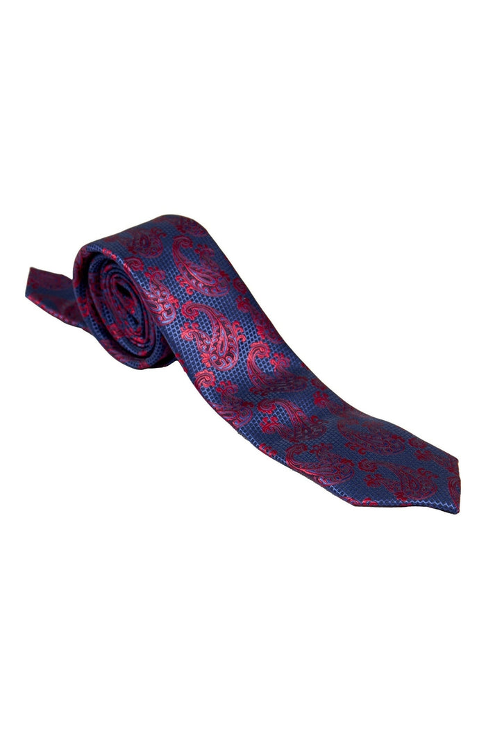 BLUE PAISLEY PRINT NECKTIE SET