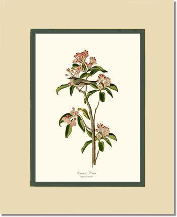 5x7 / Cream/Green / No Frame