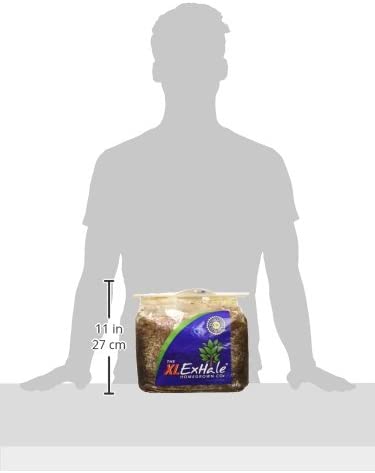 ExHale XL CO2 bag next to a human silhouette, showing its 11-inch/27cm height for scale.