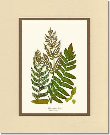 8x10 / Cream/Gold / No Frame