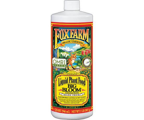 One-quart bottle of FoxFarm Big Bloom liquid plant food concentrate featuring a fox illustration on the label.
