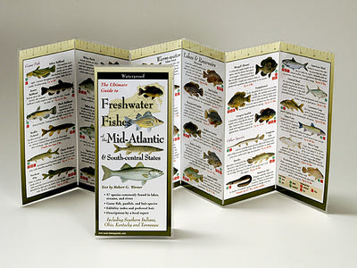Freshwater Fishes of Mid-Atlantic & South Central States - Charting Nature