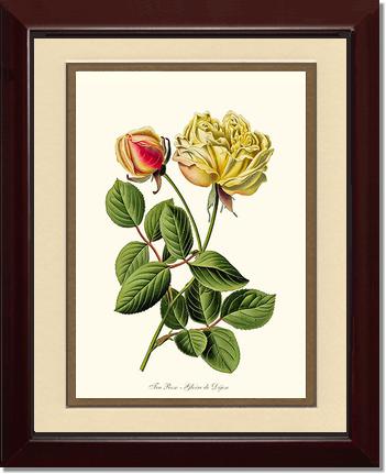 8x10 / Cream/Gold / Cherry