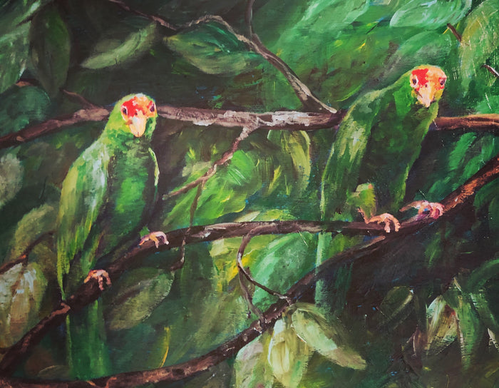 Green Parrots