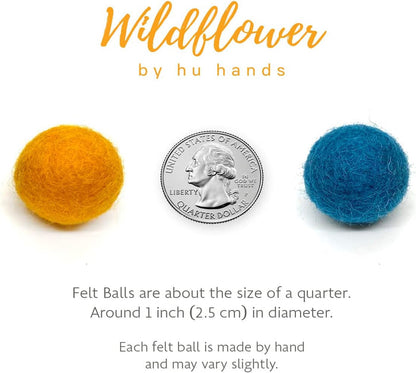 Happy Harvest Wool Felt Balls for Crafts & Sensory Play (50 Pack)