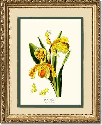 8x10 / Cream/Green / Gold