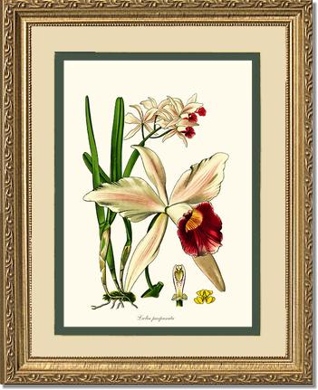 11x14 / Cream/Green / Gold