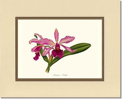 8x10 / Cream/Gold / No Frame