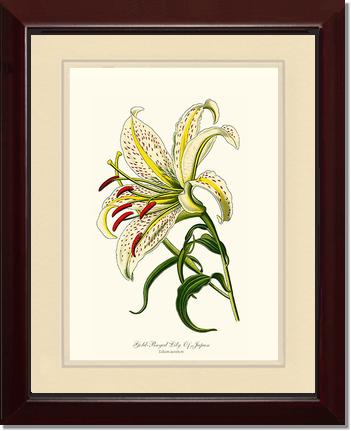 5x7 / Cream/Cream / Cherry