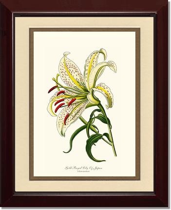 5x7 / Cream/Gold / Cherry