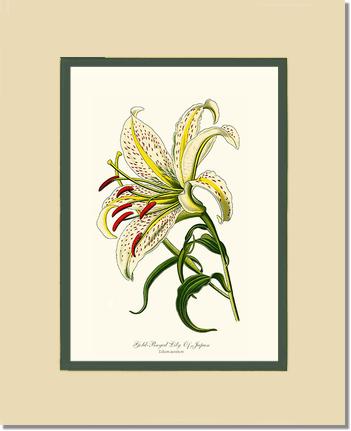 5x7 / Cream/Green / No Frame