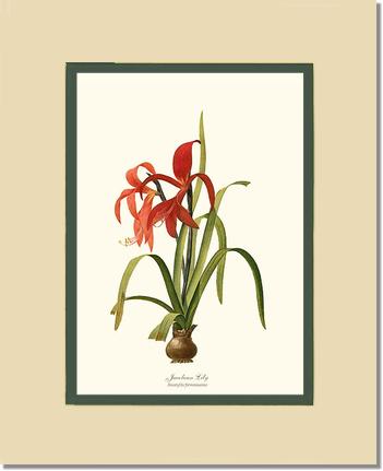 11x14 / Cream/Green / No Frame