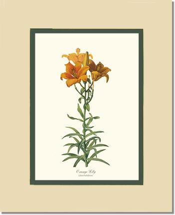 8x10 / Cream/Green / No Frame