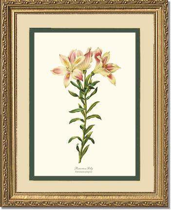 8x10 / Cream/Green / Gold
