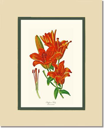 8x10 / Cream/Green / No Frame