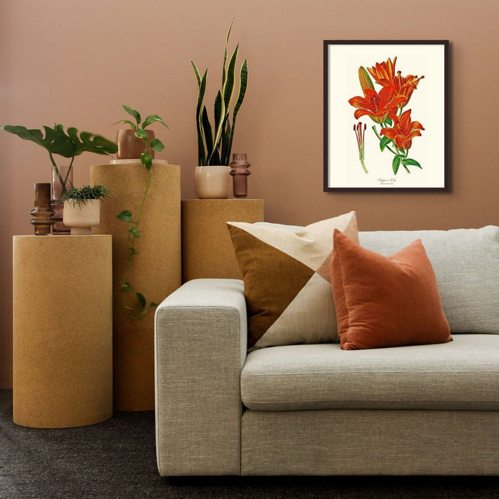 Lily, Saffron | Flower/Floral Art Print