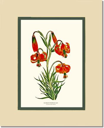 5x7 / Cream/Green / No Frame
