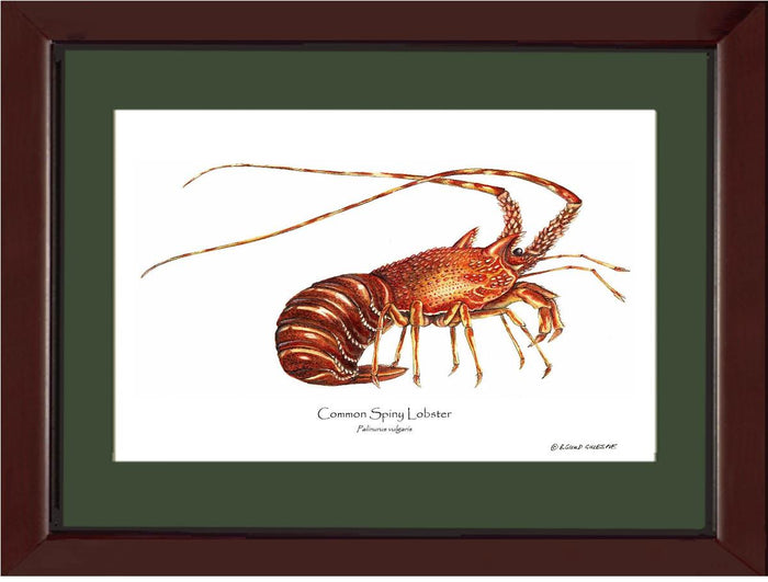 12x16 / Green / Cherry