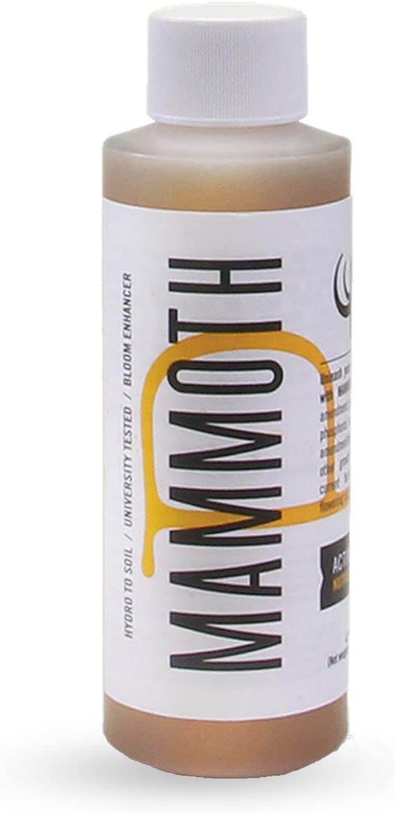 Small bottle of Mammoth bloom enhancer with a white cap, clear liquid, and vertical text on a white label.