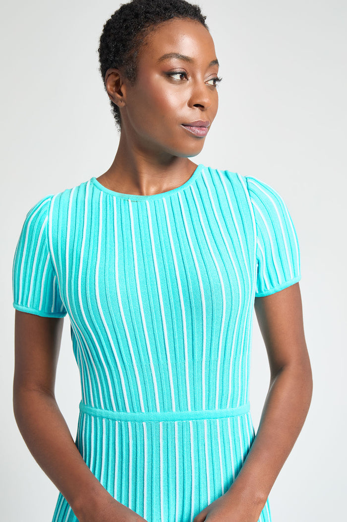 Modern Fit Jewel Neck Striped Flare Soft Knit Dress, Calypso Blue/White | Ming Wang