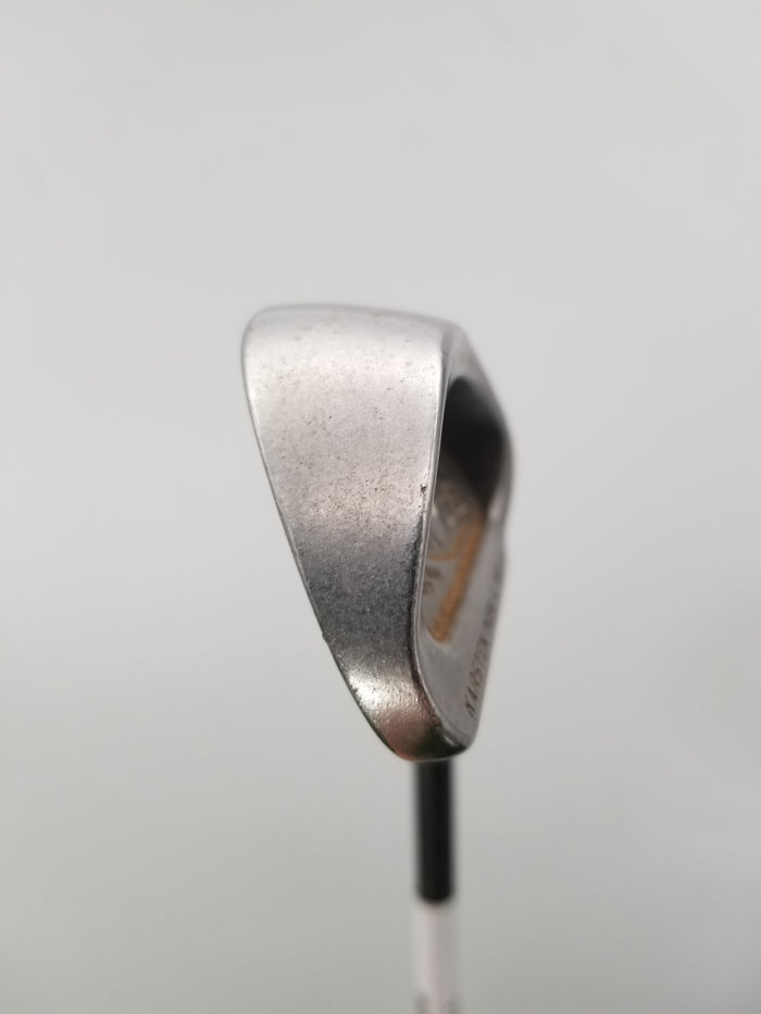 PING EYE 6 IRON SOFT REGULAR PING TFC 100 38.5" WHITE DOT GOOD