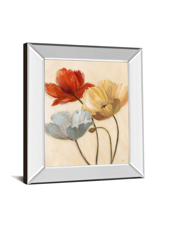Poppy Palette Il By Nan - Mirror Framed Print Wall Art - Beige