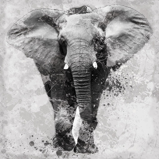 Proud Elephant By Carol Robinson - Silver