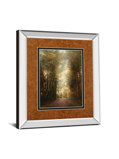 Road Of Mysteries Il By Amy Melious - Mirror Framed Print Wall Art - Light Brown