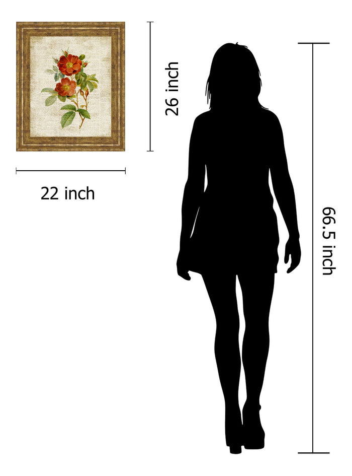 Roses On Newsprint Il By Lanie Loreth - Framed Print Wall Art - Beige