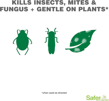 Safer 3-in-1 Garden Spray graphic showing green icons of insects, mites, and a fungus-spotted leaf.