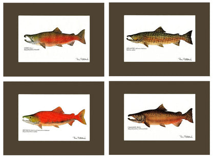 Salmon Print Set - Charting Nature