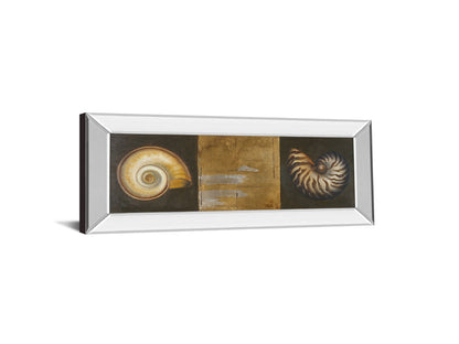 Seashells I By Patricia Pinto - Mirror Framed Print Wall Art - Gold