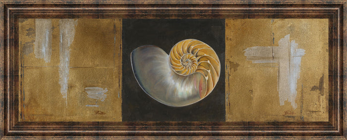 Seashells Il By Patricia Pinto - Framed Print Wall Art - Gold