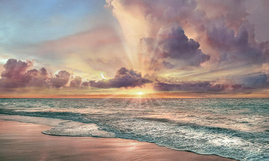 Small - Copper Beach By Mike Calascibetta - Beige