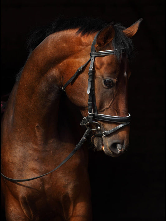Small - Horse On Black By Mikhail Kondrashov - Dark Brown