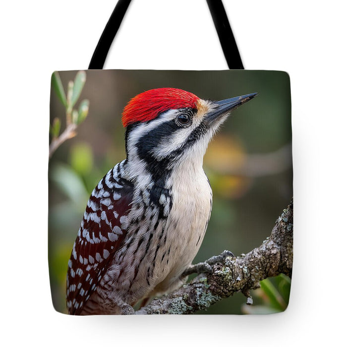 Vibrant Red-Capped Woodpecker - Tote Bag