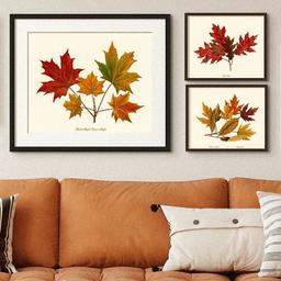 Vintage Autumn Tree Leaf Art Prints